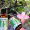 Holistica Medica Hjerte chakra (50 ml)