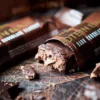 IN||ZYM Protein Bar Truffel Dark Chocolate (55 g)