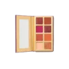 Jane Iredale Dazzle & Shine Eye Shadow Kit (1 sæt)