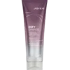 Joico Defy Damage Protective Conditioner (250 ml)