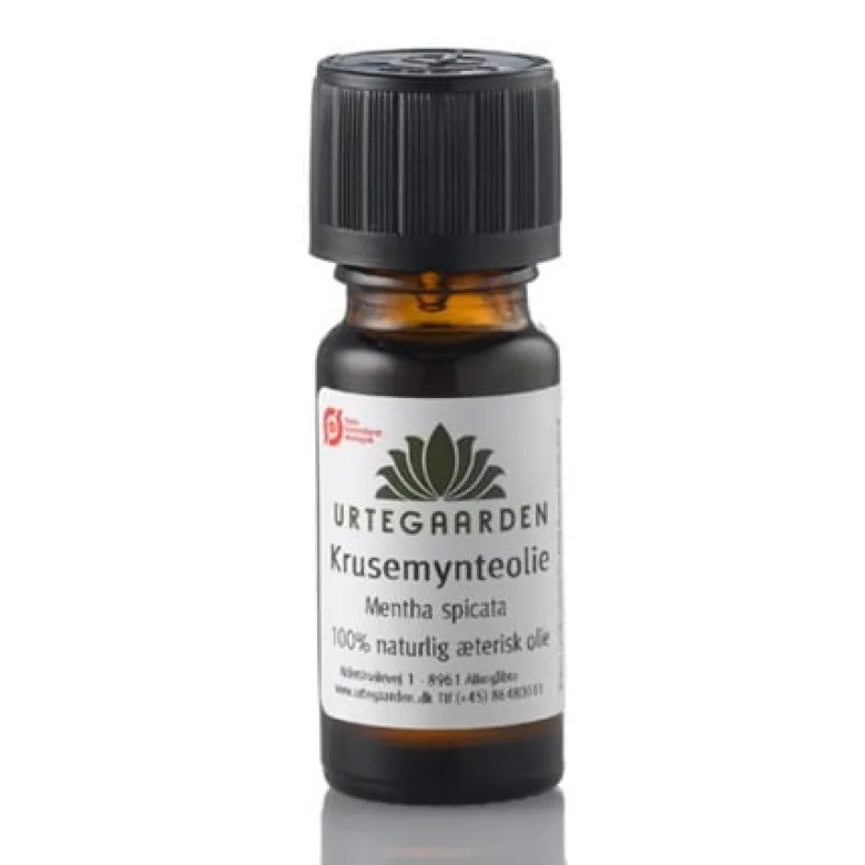 Krusemynteolie æterisk Ø (10 ml)