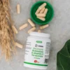 Kurm Økologisk Echinacea & Acerola (60 kap)