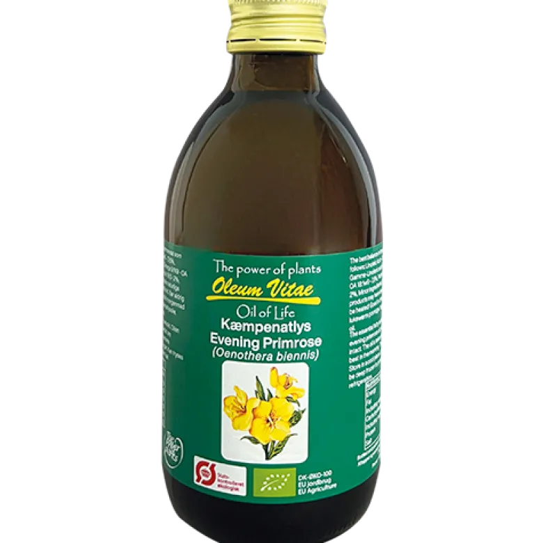 Livets Olie - Oil Of Life Kæmpenatlysolie Ø (250 ml)