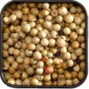 Mill & Mortar Malabar Grøn Peber Ø (25 g)
