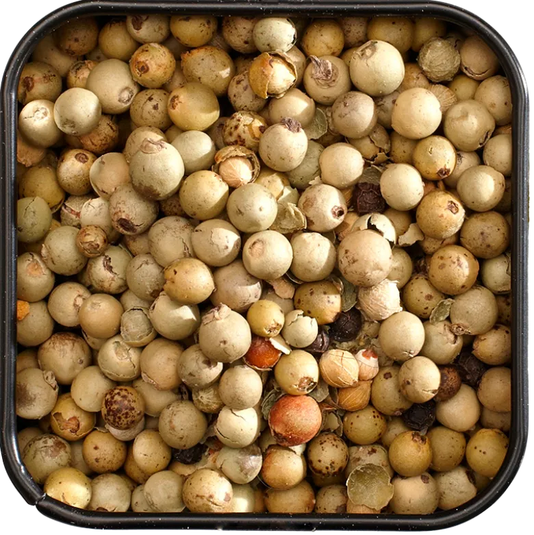 Mill & Mortar Malabar Grøn Peber Ø (25 g)