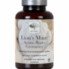 New Nordic Lions Mane Active Brain Gummies (60 stk)