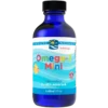 Nordic Naturals Children DHA Jordbærsmag (119 ml)