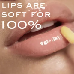 Nuxe Reve de Miel Lip Honey (60 ml)