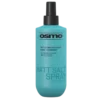 OSMO Matt Salt Spray (250 ml)