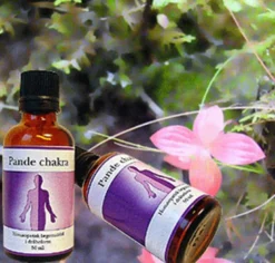 Pande chakra (50 ml)