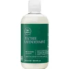 Paul Mitchell Tea Tree Lavender Mint Moisturizing Shampoo 300 ml.