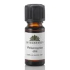 Pebermynteolie japansk æterisk olie 10 ml.