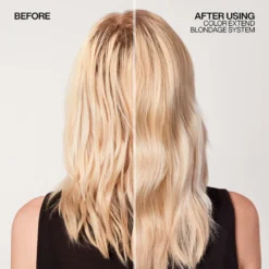 Redken Color Extend Blondage Shampoo (500 ml)