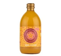 Renée Voltaire Æblecidereddike Raw Ø m.Gurkemeje, Ingefær og Chili (500 ml)