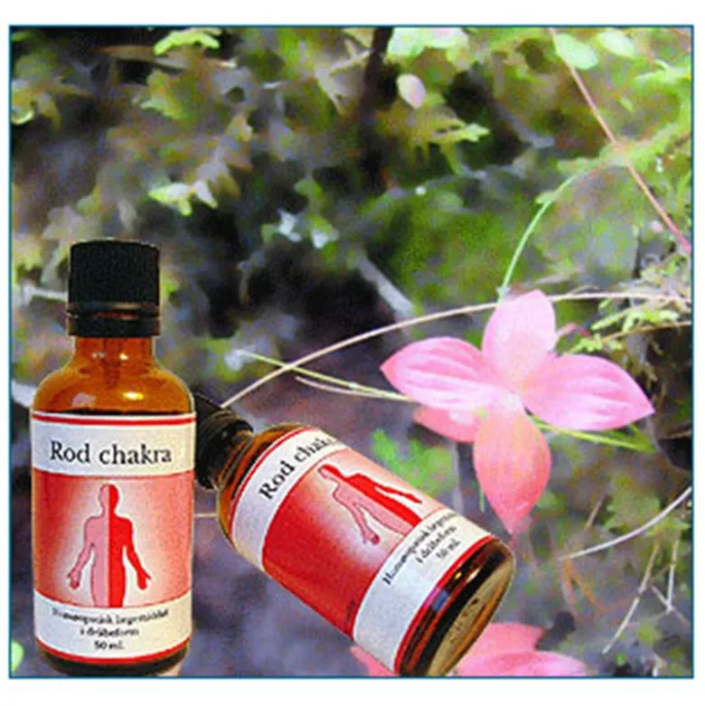 Rod maskulin chakra (50 ml)