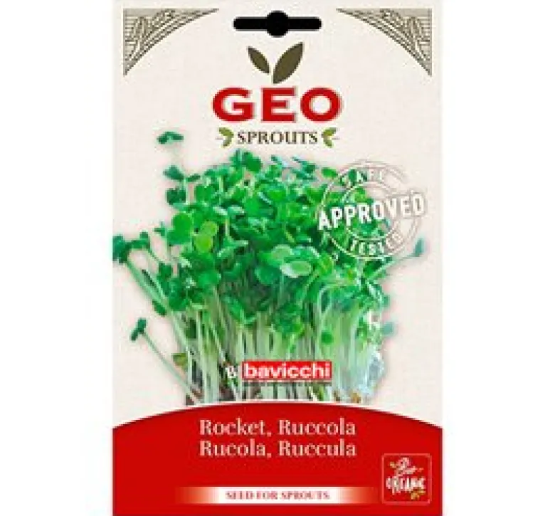 Rucolafrø til spiring Ø (30 g)