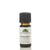 Sandeltræsolie Amyris æterisk olie (10 ml)