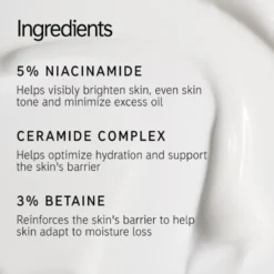The INKEY List Omega Water Cream (50 ml)