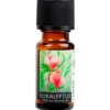 Unique Eukalyptus Olie Æterisk (10 ml)