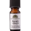Urtegaarden Bjergfyrnåleolie (10 ml)