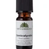 Urtegaarden Cembrafyrolie (10 ml)