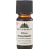 Urtegaarden Citroneucalyptusolie Ø (10 ml)