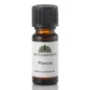 Urtegaarden Pineolie (10 ml)