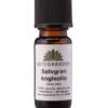 Urtegaarden Sølvgrankogleolie (10 ml)