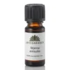 Urtegaarden Stjerneanisolie æterisk olie - 10 ml