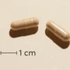 Verman Peptrase GO (25 kaps)