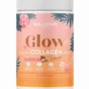 Wellexir Glow Beauty Drink Passionfruit (360 g)