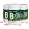 3 x Grønne Vitaminer B12-vitamin 500 mcg (90 tab)