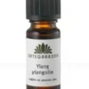 Ylangylang blomst duftolie 10 ml.